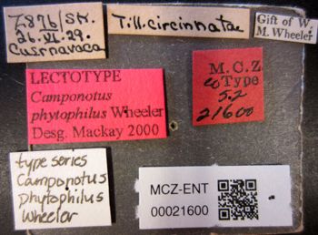 Media type: image;   Entomology 21600 Aspect: labels